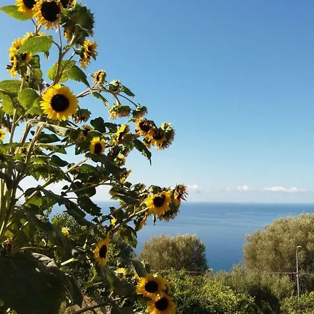 Apartamento La Casa Del Maestro Attico Pisciotta