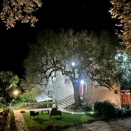 La Casa Del Maestro Attico Pisciotta
