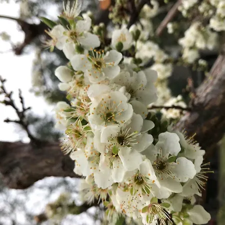 Apartamento La Casa Del Maestro Attico
