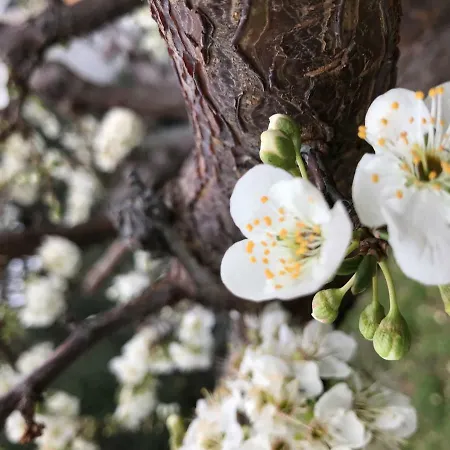 La Casa Del Maestro Attico Apartamento