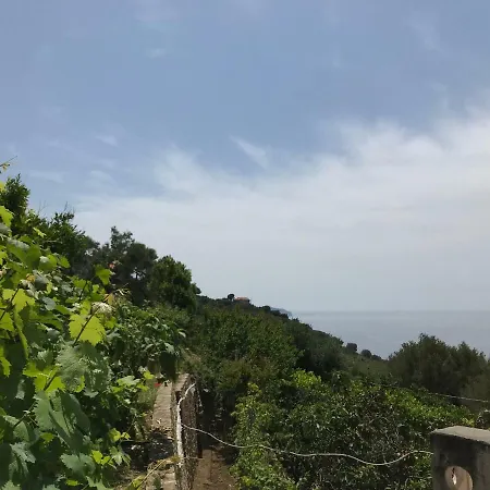 La Casa Del Maestro Attico Pisciotta