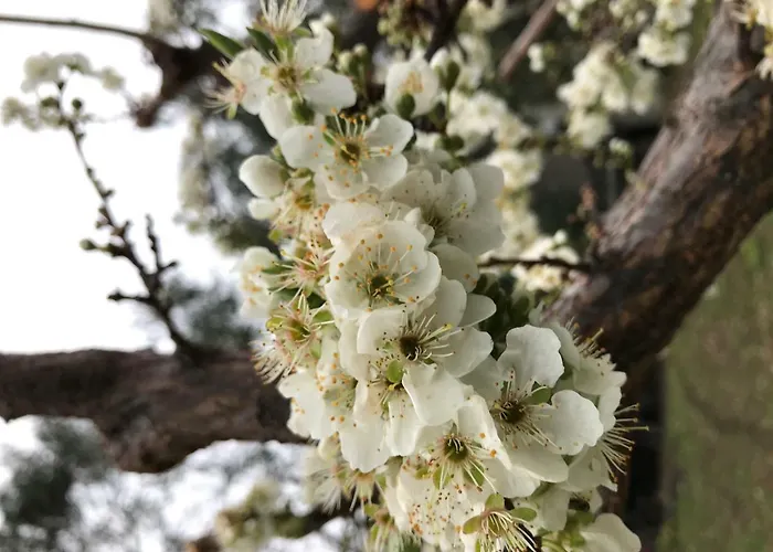 Apartamento La Casa Del Maestro Attico